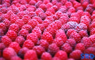 Maline