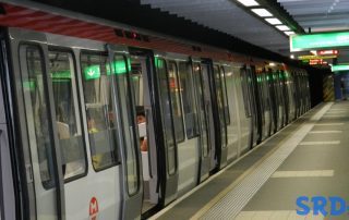 metro_lion