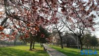 park_prolece