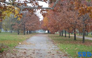 Park Usce