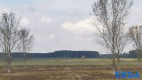 Priroda rezervat