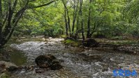 reka_gradac