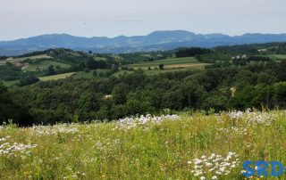 Selo priroda brda