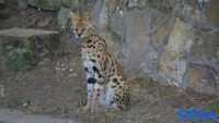 zoo_vrt_2
