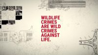 LIFE SWiPE