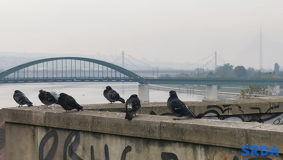 Mostovi Beograd