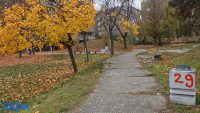 novi_beograd_kanta_jesen