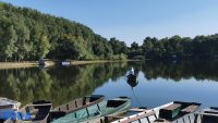 Koviljsko Petrovaradinski rit