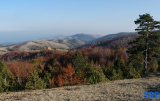 pogled_brdo_magla