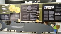 kavijar