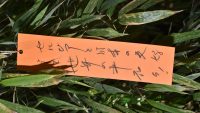 želja ambasadora Japana povodom Tanabata festivala