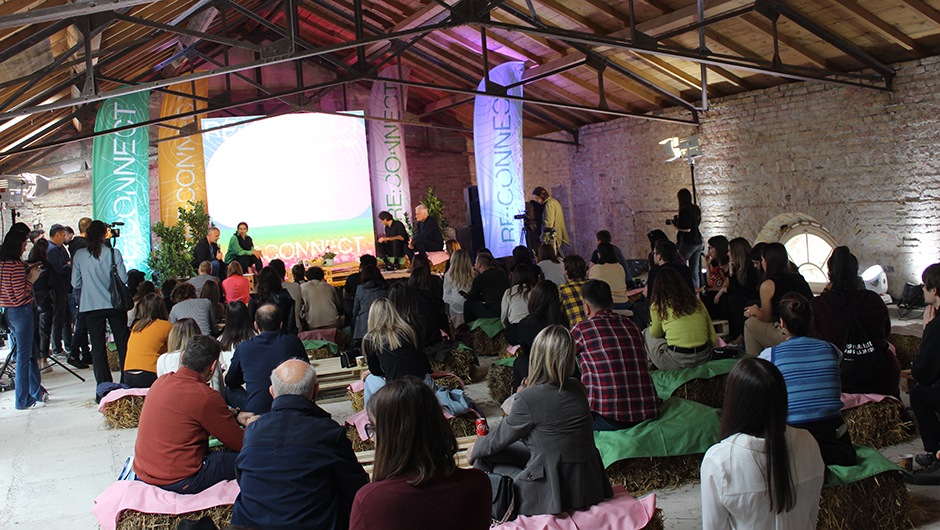 reconnect festival