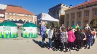 zvona za staklo zajecar