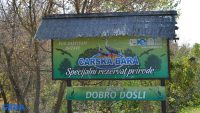 Carska bara tabla