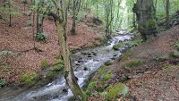 Jastrebac