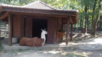 Bor ZOO
