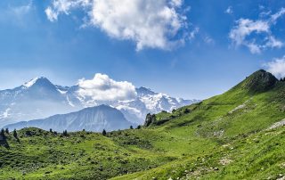 Alpi planina