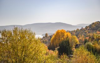 Vlasina